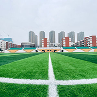 sportgrass5