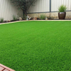 Spring Green 30 mm Landscaping Artificial Synthetic Putting Grass for Delivery