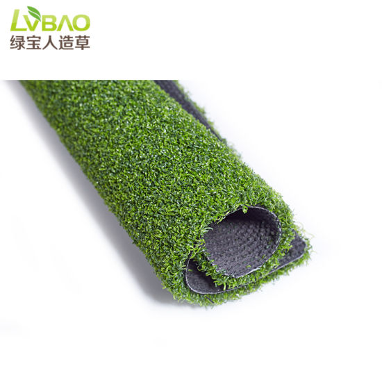 Golf Putting Green Grass