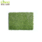 World Popular Artificial Grass with SGS/Ce for Garden Backyard Flooring