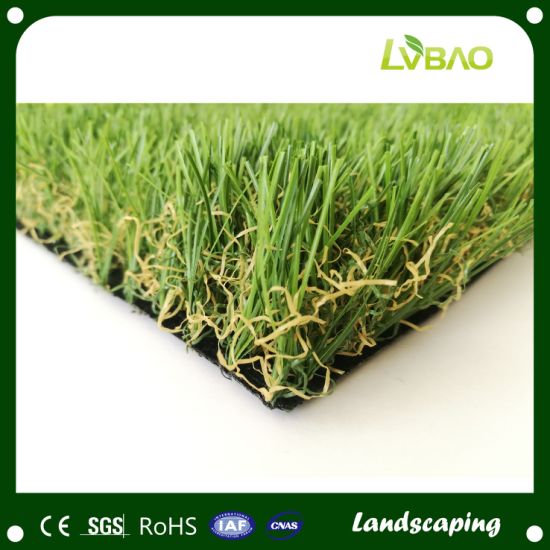 Hot Sale Landscaping Types of Garden Lawn