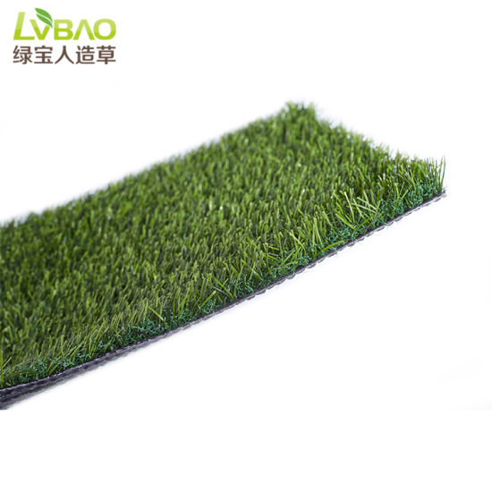 Landscape with Artificial Grass Waterless Lawn
