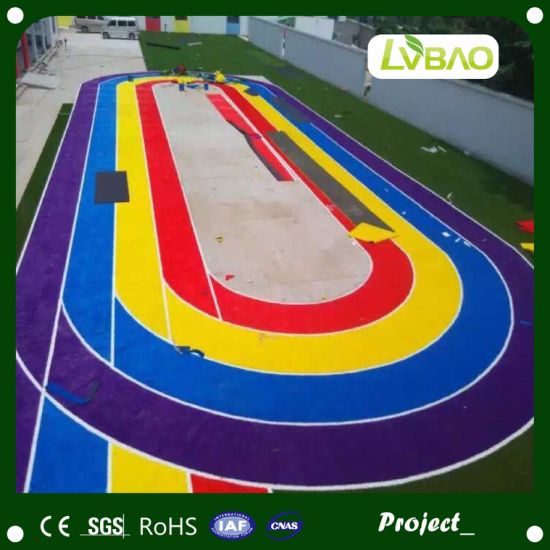 Colorful Artificial Grass for School Play Area