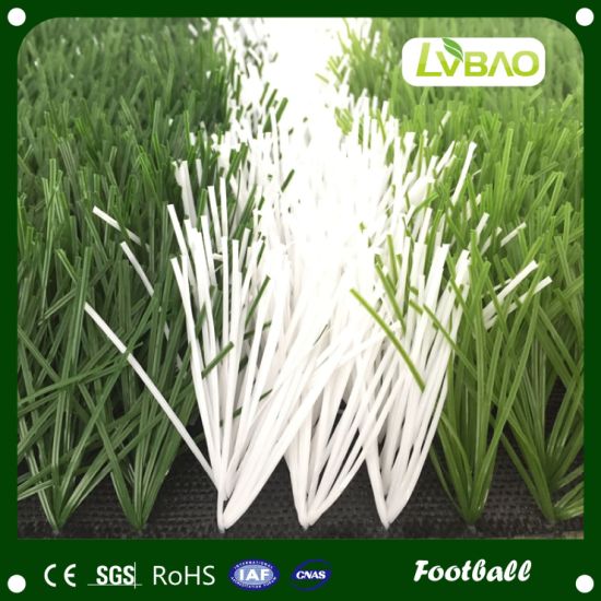 Synthetic Grass/Artificial Grass for Soccer and Football Playground