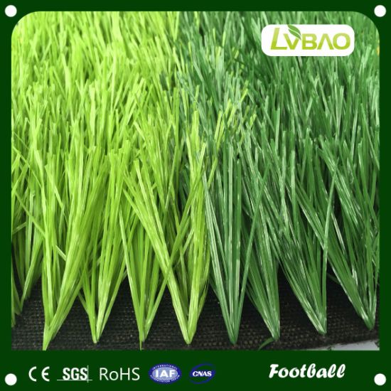 Standard Football Court Application Artificial Football Grass