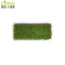 Natural Grass Feeling of Landscape Grass, C Shape Curly and Straight Yarn