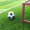 Artificial Grass Carpet for Football Stadium