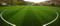 Fifa Quality Artificial Football Grass with 8 Years′ Warranty