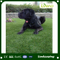 Landscape with Artificial Grass Waterless Lawn