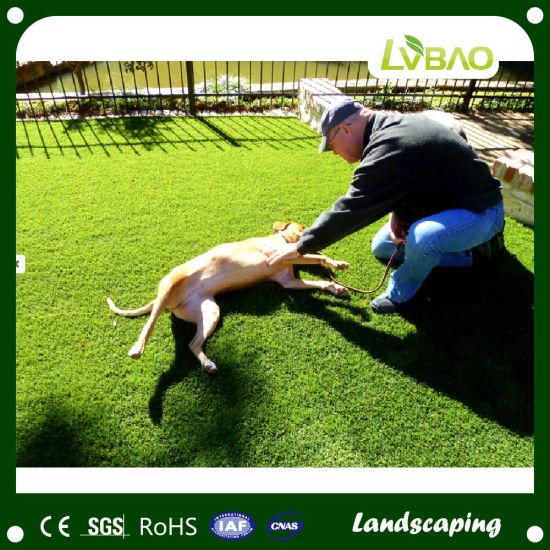 High Quality Natural Green Fake Grass with Ce Certification