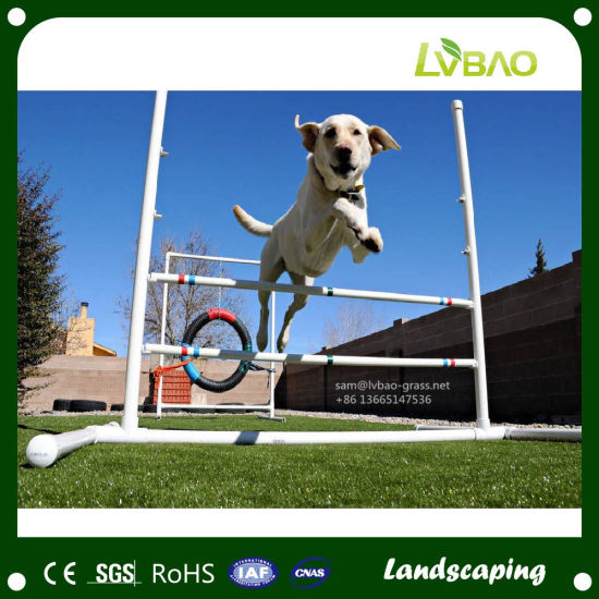Good Drainge System Artificial Grass for Pets