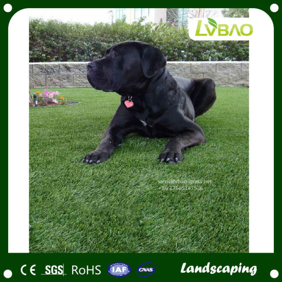 Comfortable Landscaping Garden Artificial Grass for Pet