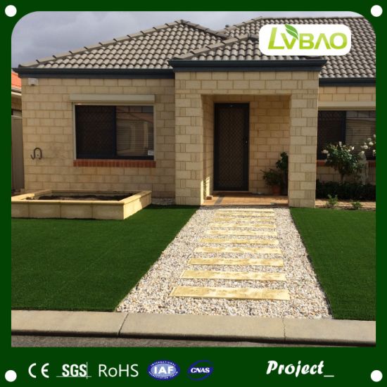 Outdoor Landscaping Garden Grass
