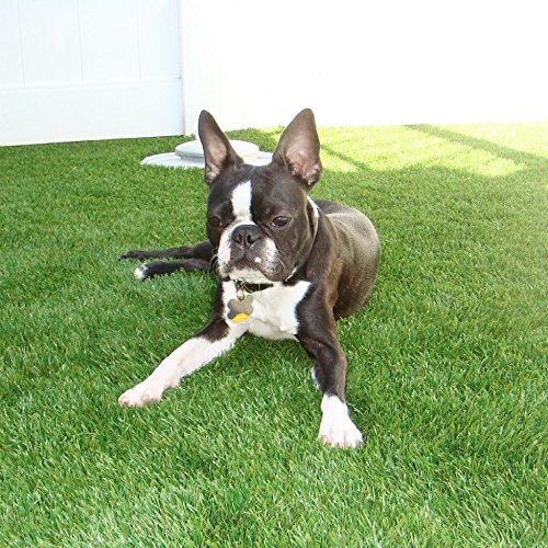 "D" Shape Landscaping Artificial Turf Grass