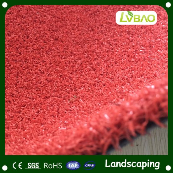 Pet and Sports Comfortable Decoration Environmental Friendly Synthetic Comfortable Monofilament Fire Classification E Grade Waterproof Grass Mat