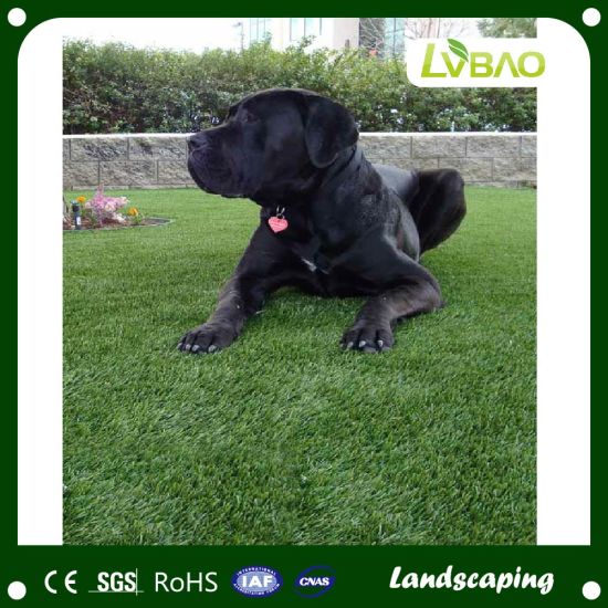 Mult Functional Artificial Grass for Landscaping