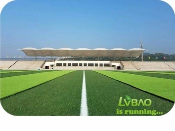 Soccer, Football, Sports with SGS Certified Synthetic Turf