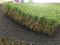 Customization Waterproof Comfortable Decoration Environmental Friendly Home & Garden Landscape Fake Yarn Artificial Grass
