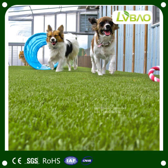 Good Drainge System Artificial Grass for Pets