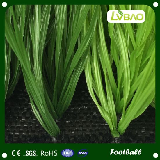 Sports Football Artificial Grass for Soccer Field