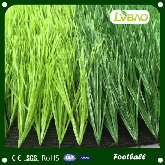 Monofilament Artificial Grass for Football and Soccer