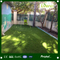 Multipurpose Yard Decoration Pet Home Commercial Landscaping Durable Artificial Turf