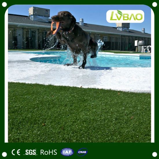 Artificial Turf Grasses Fake Grass for Pet Home Use